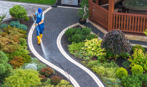 Best Local Pressure Washing Services  in Dash Point, WA
