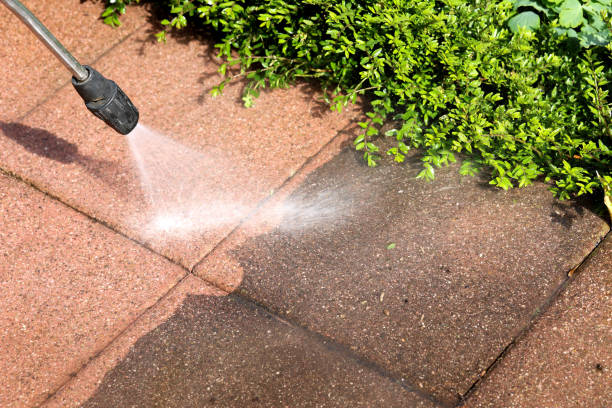 Best Local Pressure Washing Services  in Dash Point, WA